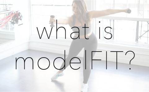 what is modelFIT BUTTON